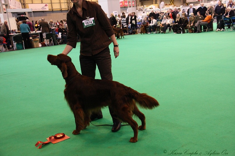 Crufts2011_2 116.jpg